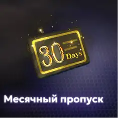 Месячный пропуск